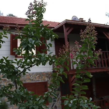 Kartapis Huzurlu Ve Oezel Havuzlu